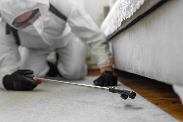 Professional Ant Control technician working in Farley, IA