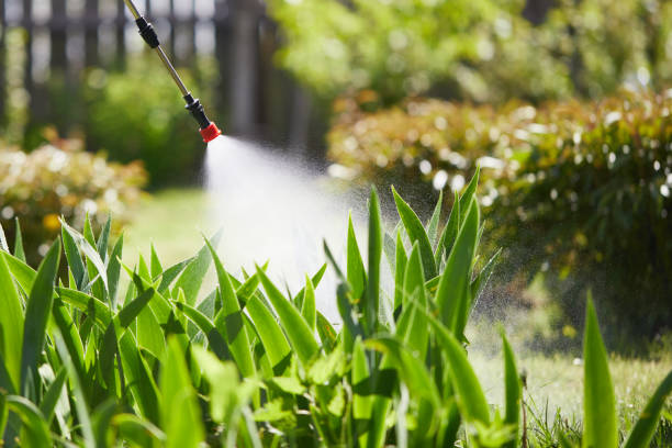 24/7 Emergency Mosquito Control experts in Farley, IA